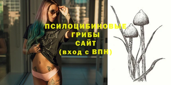 ешки Богородицк