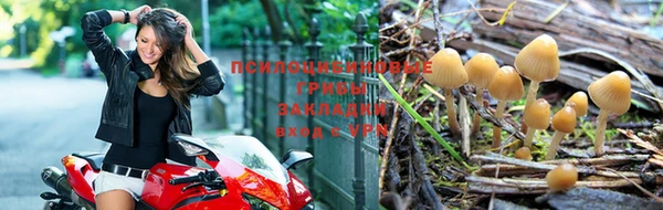 винт Новозыбков