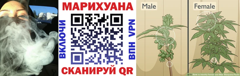 Бошки марихуана Ganja  Реж 